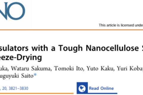 ACS NANO|透明超隔热！冷冻干燥构筑纤维素纳米冷凝胶，导热率低于空气