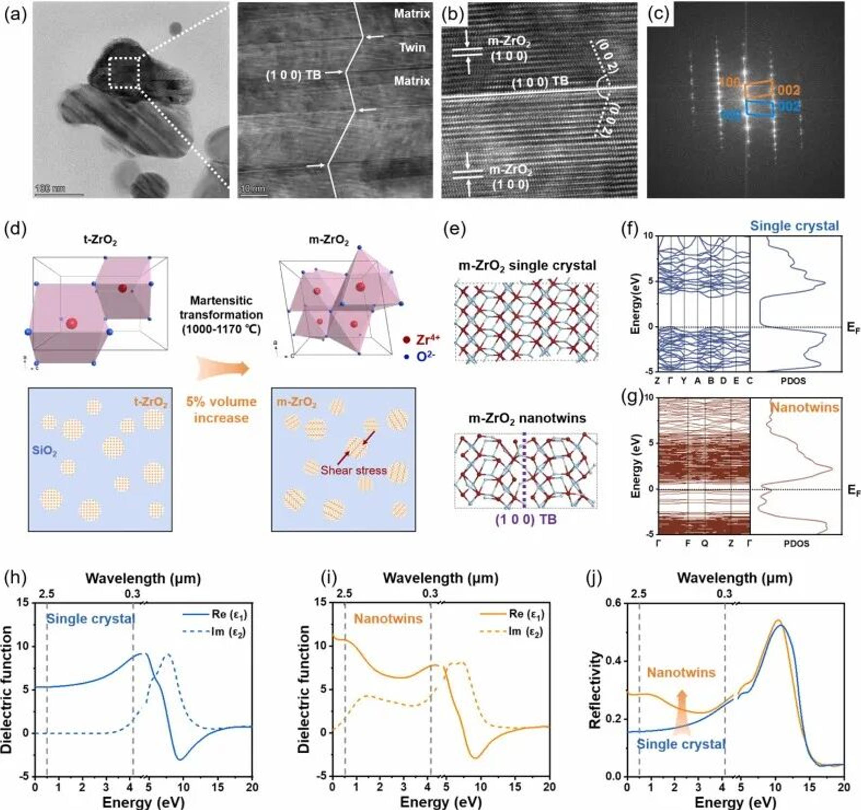 图3. m-ZrO₂纳米孪晶的形成与反射率增强(a) 1200 ℃烧结的Si55-Zr45玻璃陶瓷的透射电镜（TEM）明场图像(b) ZrO₂晶粒中层状纳米孪晶的高分辨透射电镜（HRTEM）图像(c) ZrO₂纳米孪晶的选区电子衍射（SAED）图谱(d) 玻璃陶瓷中m-ZrO₂纳米孪晶形成机理的示意图(e) m-ZrO₂单晶和m-ZrO₂纳米孪晶的优化超晶胞结构(f 和 g) (f) m-ZrO₂单晶和 (g) m-ZrO₂纳米孪晶的能带结构（左）和态密度（右）(h 和 i) (h) m-ZrO₂单晶和 (i) m-ZrO₂纳米孪晶的介电函数色散曲线(j) m-ZrO₂单晶和m-ZrO₂纳米孪晶的电磁波反射率