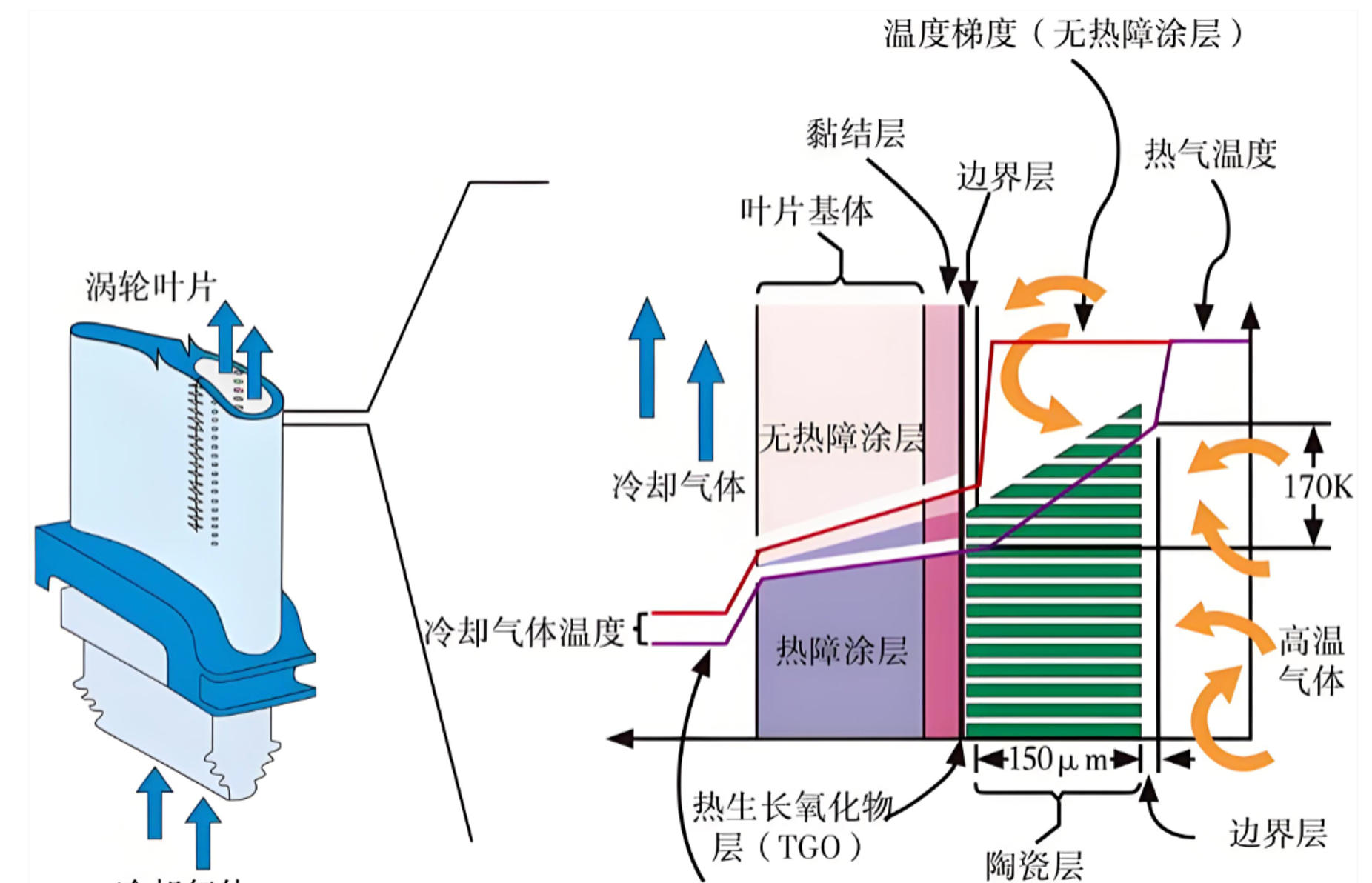 功能梯度涂层（热障涂层-隔热涂层）